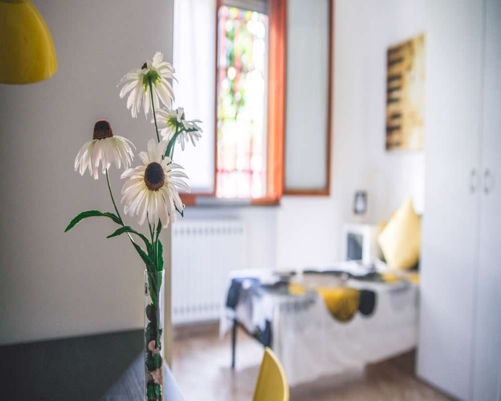Immagine della stanza